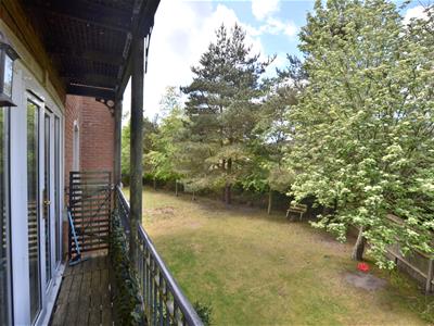 Picture 14